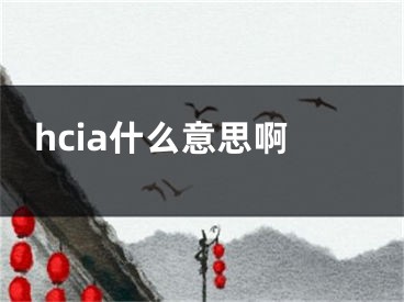 hcia什么意思啊