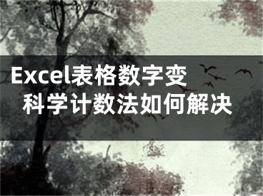 Excel表格数字变科学计数法如何解决