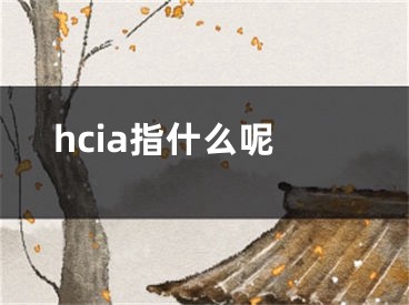 hcia指什么呢