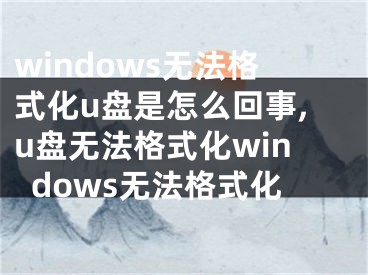 windows无法格式化u盘是怎么回事,u盘无法格式化windows无法格式化