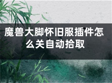 魔兽大脚怀旧服插件怎么关自动拾取