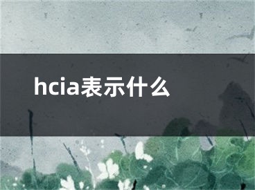 hcia表示什么