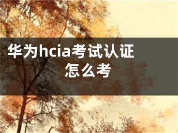 华为hcia考试认证怎么考