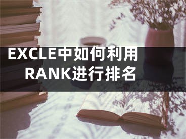 EXCLE中如何利用RANK进行排名