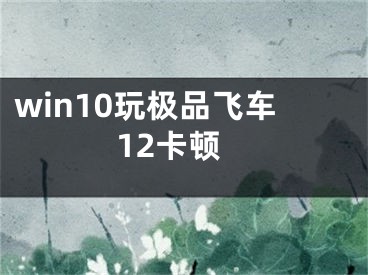 win10玩极品飞车12卡顿