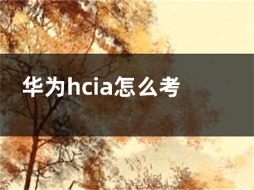 华为hcia怎么考