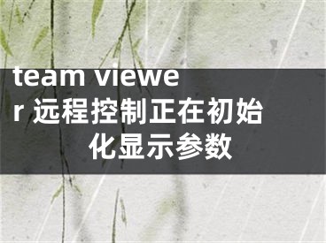 team viewer 远程控制正在初始化显示参数