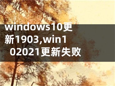 windows10更新1903,win102021更新失败