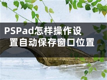 PSPad怎样操作设置自动保存窗口位置