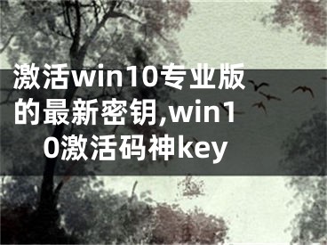 激活win10专业版的最新密钥,win10激活码神key