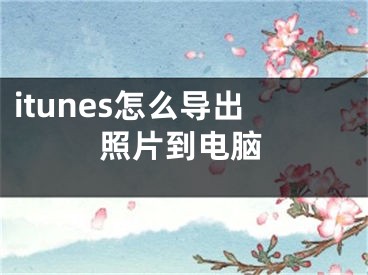 itunes怎么导出照片到电脑