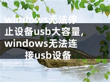windows无法停止设备usb大容量,windows无法连接usb设备