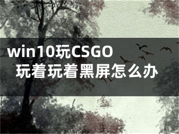 win10玩CSGO玩着玩着黑屏怎么办