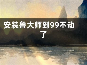 安装鲁大师到99不动了