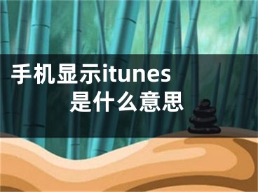 手机显示itunes是什么意思