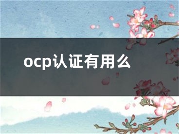 ocp认证有用么