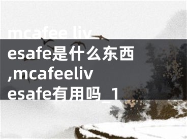 mcafee livesafe是什么东西,mcafeelivesafe有用吗_1