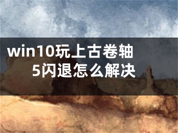 win10玩上古卷轴5闪退怎么解决