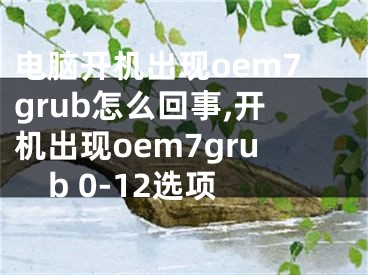 电脑开机出现oem7grub怎么回事,开机出现oem7grub 0-12选项