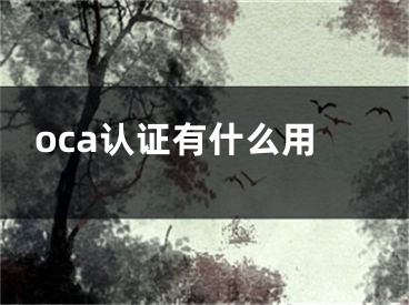 oca认证有什么用