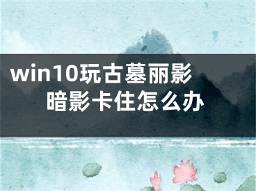 win10玩古墓丽影暗影卡住怎么办