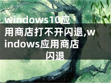 windows10应用商店打不开闪退,windows应用商店闪退