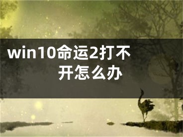 win10命运2打不开怎么办