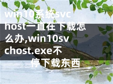 win10系统svchost一直在下载怎么办,win10svchost.exe不停下载东西