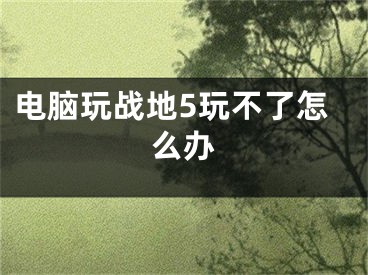 电脑玩战地5玩不了怎么办