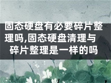 固态硬盘有必要碎片整理吗,固态硬盘清理与碎片整理是一样的吗