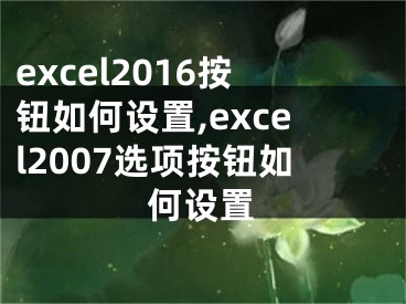 excel2016按钮如何设置,excel2007选项按钮如何设置