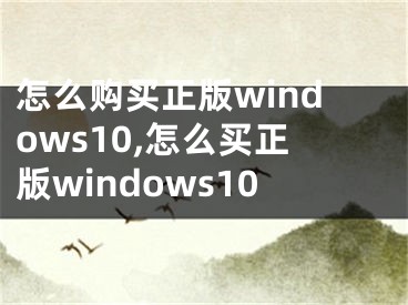 怎么购买正版windows10,怎么买正版windows10