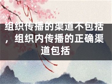 组织传播的渠道不包括，组织内传播的正确渠道包括