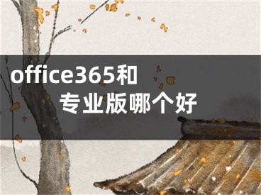 office365和专业版哪个好