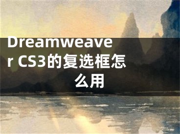 Dreamweaver CS3的复选框怎么用