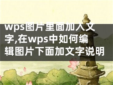 wps图片里面加入文字,在wps中如何编辑图片下面加文字说明