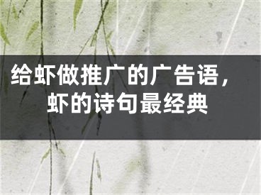 给虾做推广的广告语，虾的诗句最经典