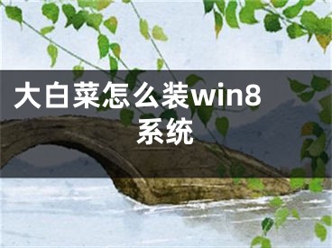 大白菜怎么装win8系统