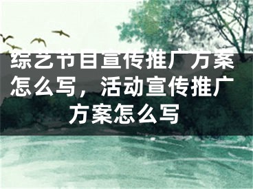 综艺节目宣传推广方案怎么写，活动宣传推广方案怎么写