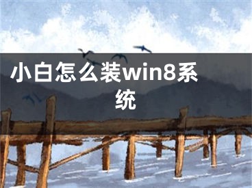 小白怎么装win8系统