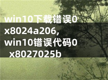 win10下载错误0x8024a206,win10错误代码0x8027025b