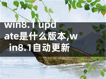 win8.1 update是什么版本,win8.1自动更新