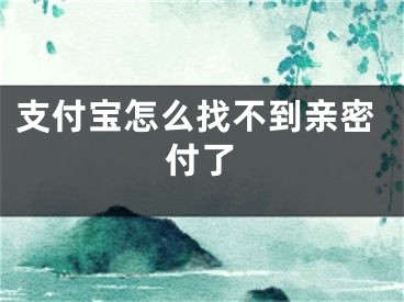 支付宝怎么找不到亲密付了