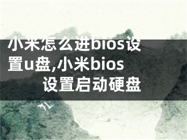 小米怎么进bios设置u盘,小米bios设置启动硬盘