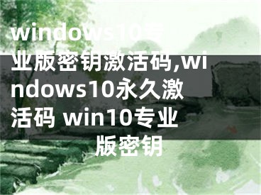 windows10专业版密钥激活码,windows10永久激活码 win10专业版密钥