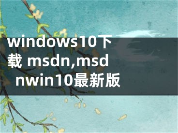 windows10下载 msdn,msdnwin10最新版
