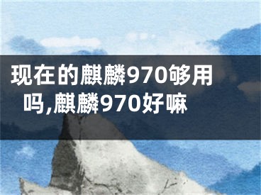 现在的麒麟970够用吗,麒麟970好嘛