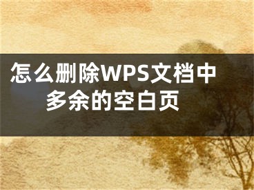 怎么删除WPS文档中多余的空白页 