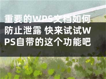 重要的WPS文档如何防止泄露 快来试试WPS自带的这个功能吧 