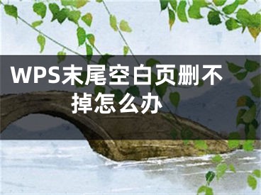 WPS末尾空白页删不掉怎么办 